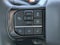 2025 Ford Super Duty F-250 SRW Platinum
