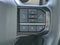 2025 Ford Super Duty F-250 SRW Platinum