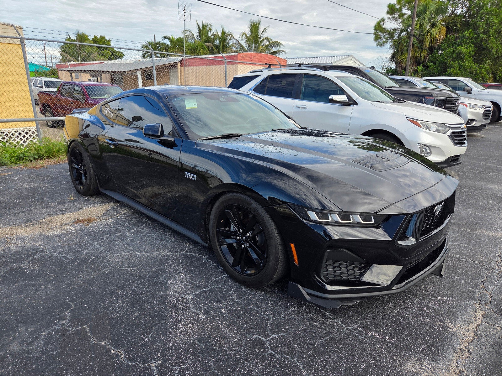 2024 Ford Mustang GT Fastback