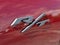 2026 Dodge Charger R/T Plus 4-Door AWD