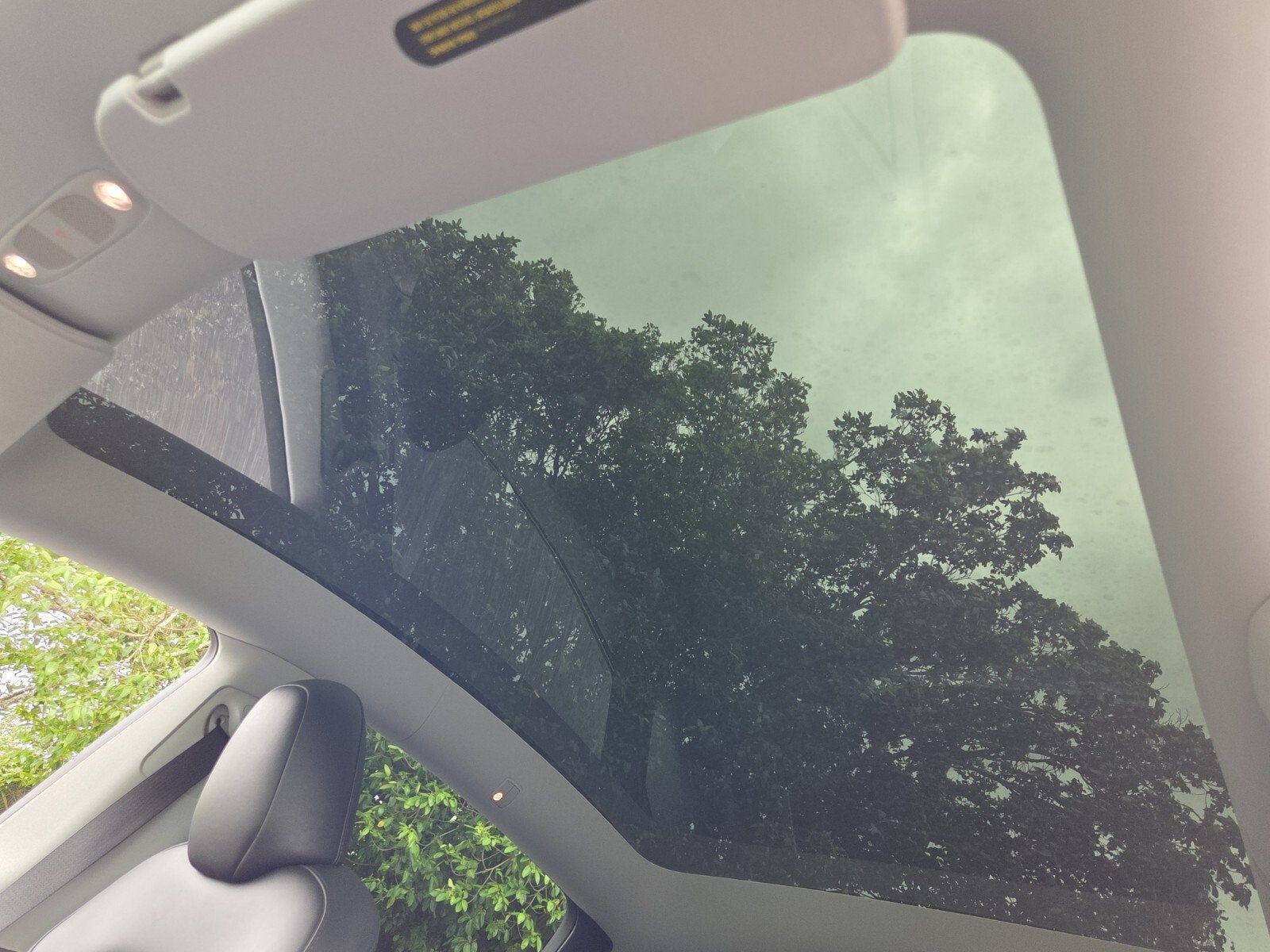 2024 Tesla Model Y Base